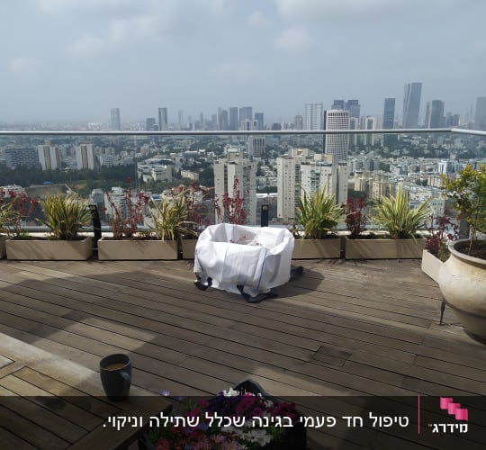 מגוון פרחים צבעוניים בארגז על רצפת עץ
